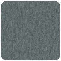 Stainless Steel Brushed